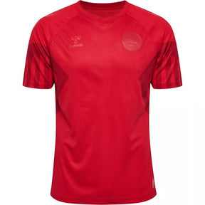 Camiseta Dinamarca 22/23 I de Local - Versión Aficionado