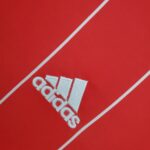 PAÍS DE GALES I 2015 HOMBRE (RETRO) - Imagen 4