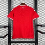 PAÍS DE GALES I 2026  HOMBRE - Imagen 2