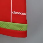 PAÍS DE GALES I 2015 HOMBRE (RETRO) - Imagen 6