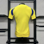 AL NASSR I 24/25 HOMBRE (VERSIÓN JUGADOR) - Imagen 2