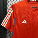 CRUZEIRO ENTRENAMIENTO II 24/25 HOMBRE - Imagen 4