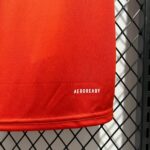 CRUZEIRO ENTRENAMIENTO II 24/25 HOMBRE - Imagen 6