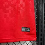 DINAMARCA EURO I 2024 HOMBRE - Imagen 6