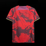 PSG EDICIÓN ESPECIAL IV 24/25 HOMBRE - Imagen 2