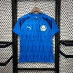 PALMEIRAS ENTRENAMIENTO III 24/25 HOMBRE