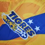 TIGRES I 97/98 HOMBRE - Imagen 7